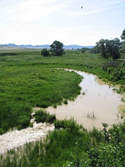 creek06282005