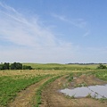 wetbales06282005