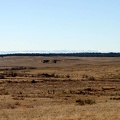 bighorns03242007