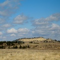 brown04062008