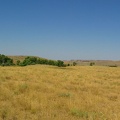 brown08282006