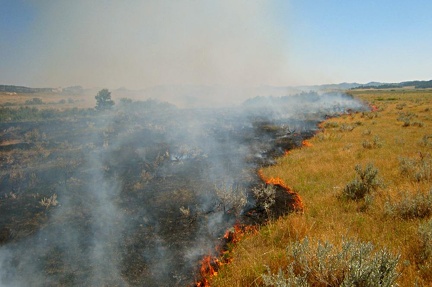 burning08062007