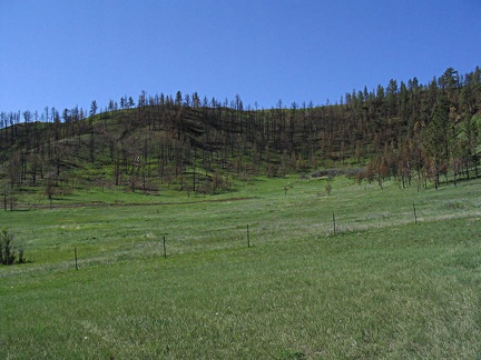 burnthillside05182005