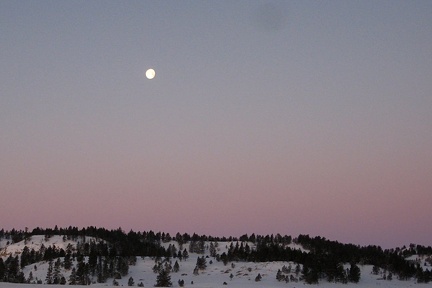 colors01242008