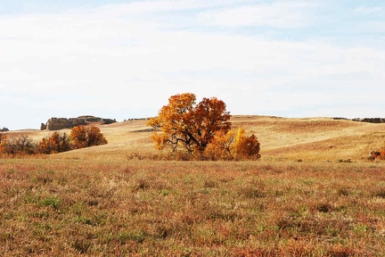 colors09302005