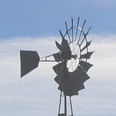 cowboy1oldwindmill.jpg